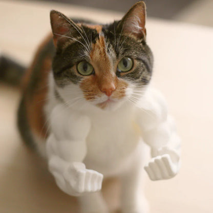 SwoleKitty Arms