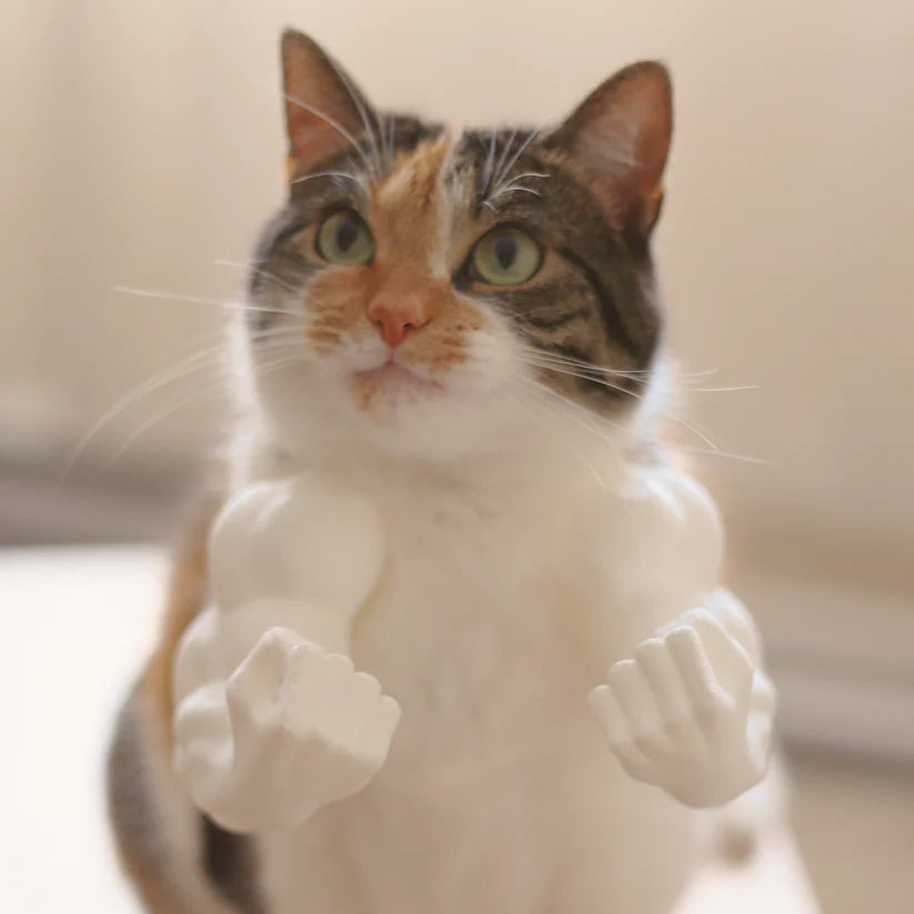 SwoleKitty Arms